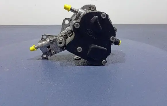 Volkswagen Golf Plus Vacuum pump 038145209H