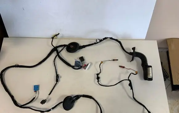 Front door wiring loom