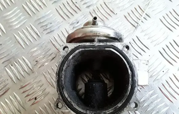 Volkswagen Phaeton EGR valve 07Z131501A 336312027 WAHLER102822