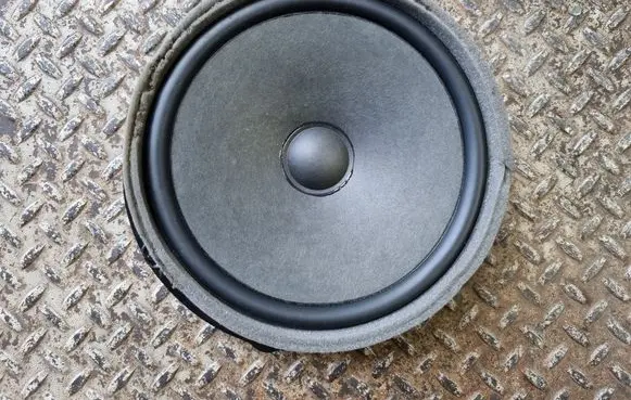 Audi Q5 SQ5 Front door speaker 80A035415