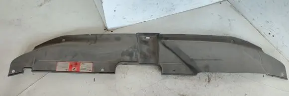 Engine bonnet/hood lock trim molding