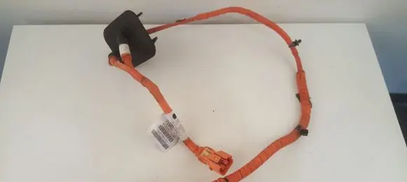 Other wiring loom