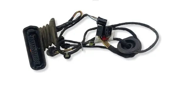 Volkswagen PASSAT B6 Rear door wiring loom 3C4971693JK
