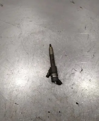 Suzuki Grand Vitara II Fuel injector 8200389369 0445110230