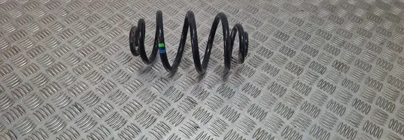Rear coil spring