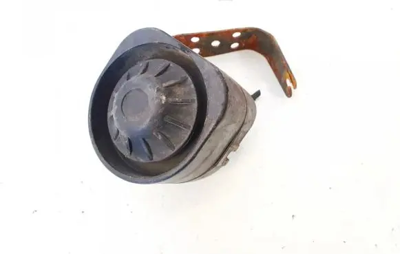 Volkswagen PASSAT B6 Alarm system siren 