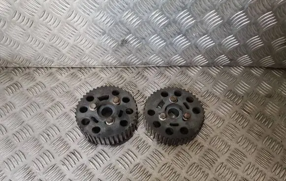 Seat Leon (1P) Camshaft pulley/ VANOS 03G109239C 038109111E 038109111L