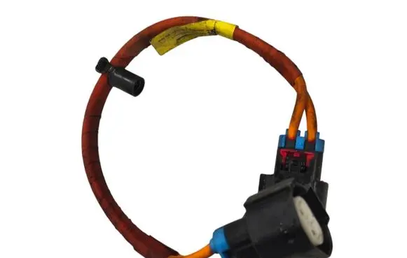 Tesla Model S Other wiring loom 108638000A A18L0009295