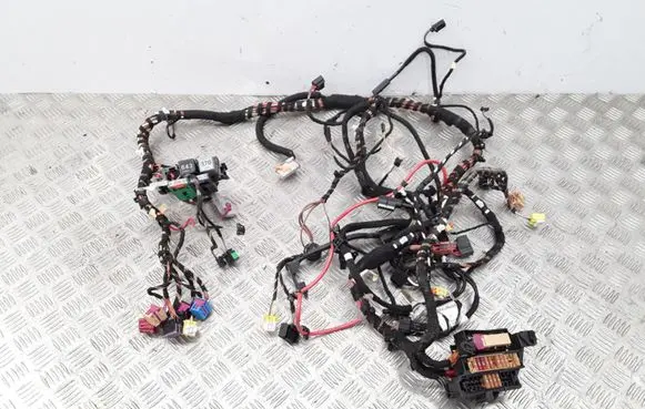 Audi A5 8T 8F Other wiring loom 8F001109