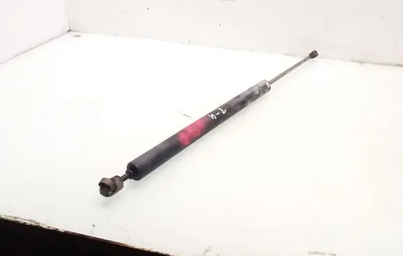 Tailgate strut