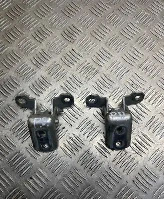 Renault Latitude (L70) Front door hinge set 