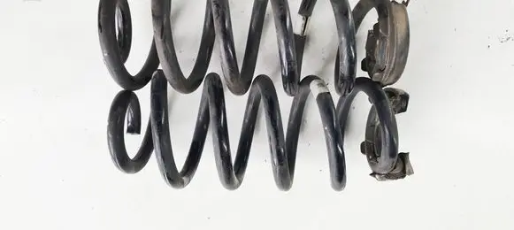 Volkswagen ID.3 Rear coil spring