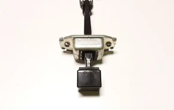 Rear door check strap stopper