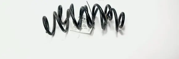 Renault Scenic I Rear coil spring