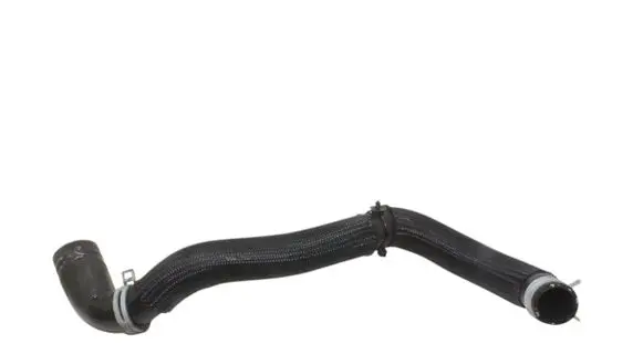 Nissan Juke II F16 Engine coolant pipe/hose 215014835R