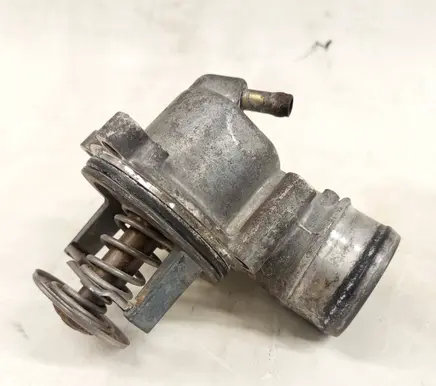 Thermostat/thermostat housing