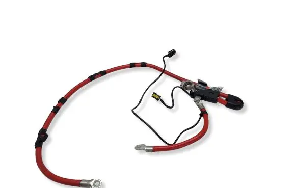 BMW 6 E63 E64 Positive cable (battery) 6928990