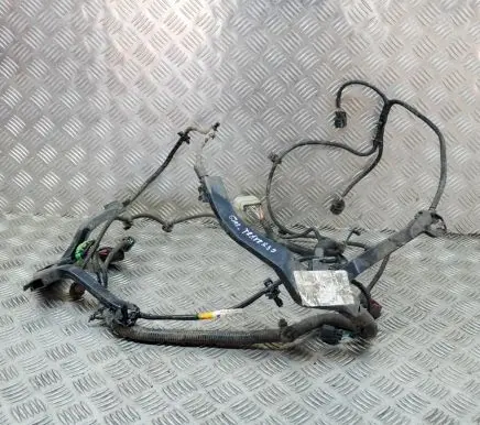 Tesla Model S Other wiring loom 100443006S