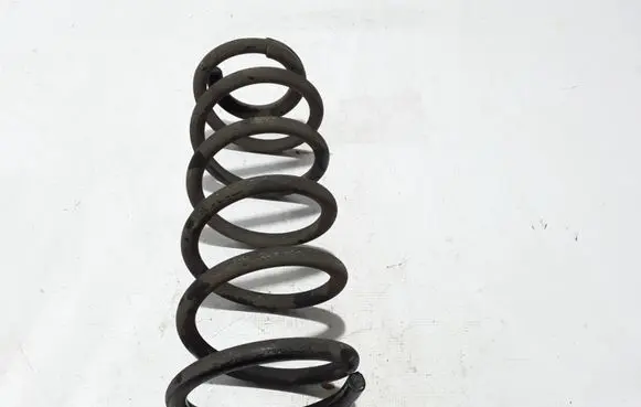 Rear coil spring