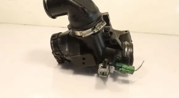 Ford Focus Throttle body valve 