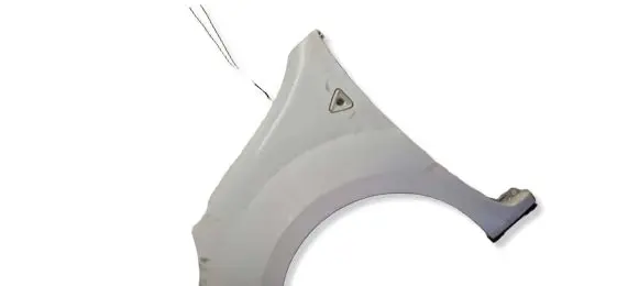 Renault Kangoo II Fender 