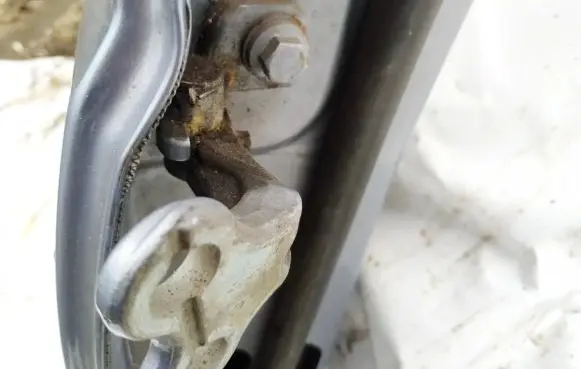 Rear door lower hinge