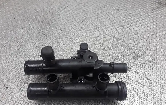 Thermostat/thermostat housing