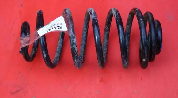 Rear coil spring