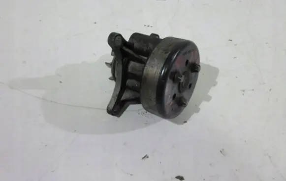 Citroen C6 Water pump