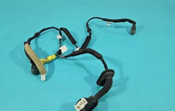Rear door wiring loom