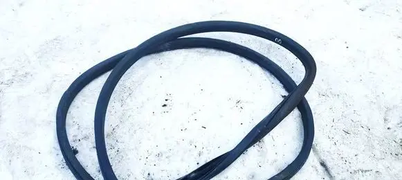 Land Rover Discovery Sport Rubber seal rear door