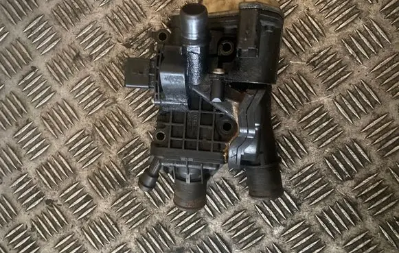 Thermostat/thermostat housing
