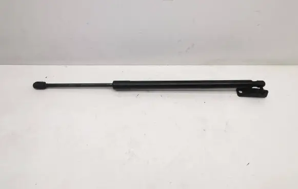 Ford Edge II Tailgate/trunk strut/damper KT4BR406A11AB