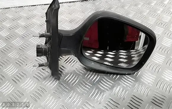 Renault Scenic RX Front door electric wing mirror e9014106