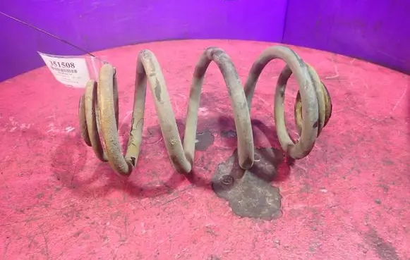 Rear coil spring