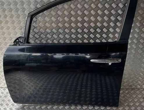 Nissan Leaf I (ZE0) Front door