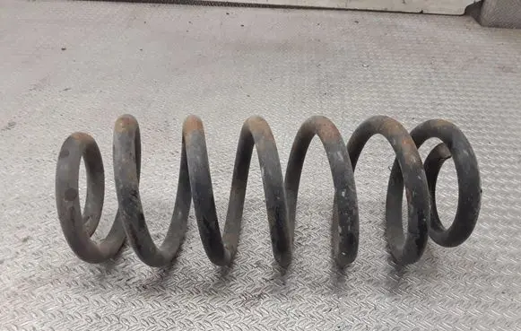 Rear coil spring