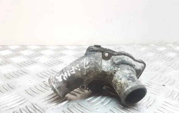 Thermostat/thermostat housing