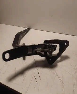 Tailgate/trunk/boot hinge