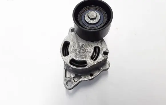Renault Espace - Grand espace IV Timing belt/chain tensioner 8200761529