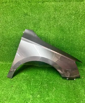 Skoda Fabia Mk3 (NJ) Fender