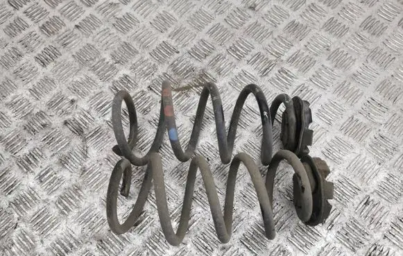 Rear coil spring