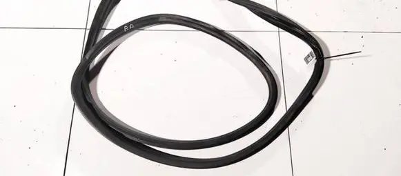 Peugeot 308 Rubber seal front coupe door 