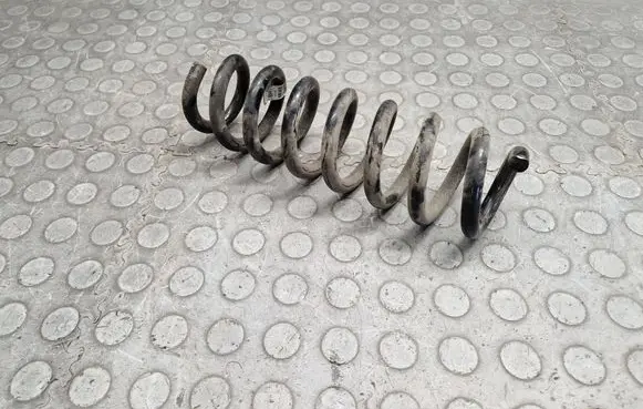 Rear coil spring