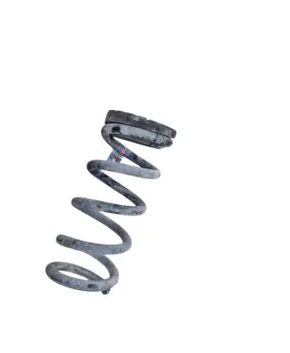 Ford Mustang VI Rear coil spring JR3C5560BC