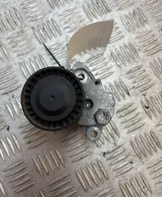 Seat Alhambra (Mk1) Generator/alternator belt tensioner JN804E145299L