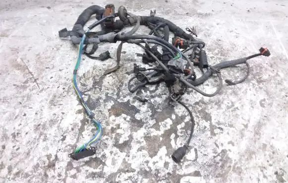 Smart ForTwo I Engine installation wiring loom A1601501033 0280620508