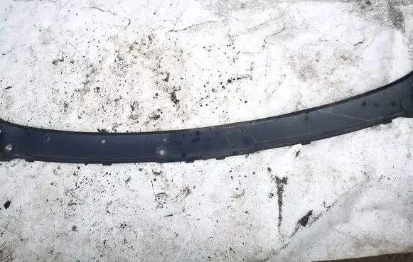BMW 5 F10 F11 Wiper trim 51717151971 15671610