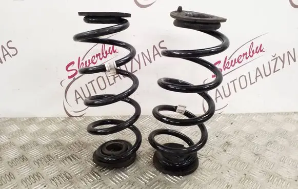 Rear coil spring