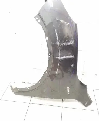 Fender